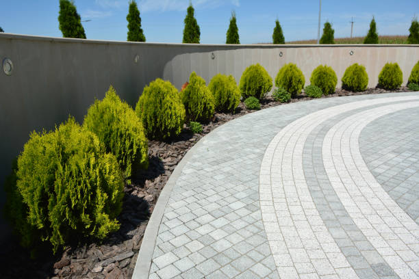 Best Driveway Pavers Near Me  in Elizabethtown, NC